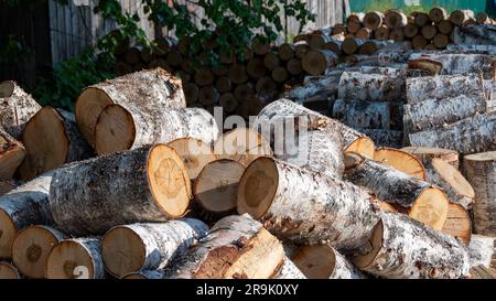 Tronchi da ardere tagliati e impilati in primavera per asciugare all'aperto e destinati a essere bruciati in stufe a legna e caminetti per riscaldare le case durante l'inverno Foto Stock