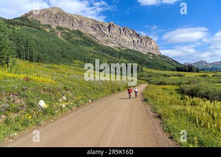 Gothic Mountain - i turisti vanno in bicicletta su una strada panoramica di campagna alla base dell'aspra montagna gotica in una soleggiata mattinata d'estate. Crested Butte, CO, USA. Foto Stock