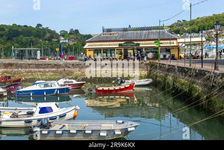 Barche ormeggiate nella vista interna del porto al bistro Embankment Cafe, Dartmouth, Devon, Inghilterra, Regno Unito Foto Stock