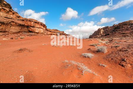 Formazioni rocciose di arenaria rossa arancione con piccoli arbusti che crescono in primo piano nel Wadi Rum, noto anche come deserto della Valle della Luna, Giordania Foto Stock