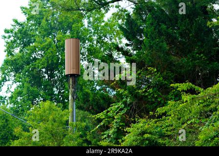 Un'antenna per comunicazioni mobili 5G utilizzata per i dati a banda larga e ad alta velocità si distingue tra gli alberi di un quartiere suburbano molto boscoso. Foto Stock