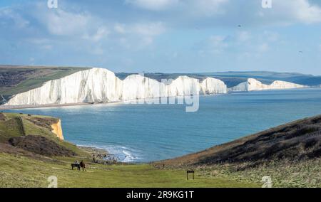 Vista sul mare delle scogliere delle sette Sorelle inglesi sotto il cielo blu in una giornata di sole. Foto Stock