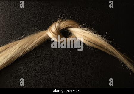 lavorato in un nodo di capelli biondi femmina su un nero Foto Stock