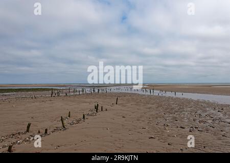 I pali di legno di una lunga area abbandonata per le navi all'estremità settentrionale della spiaggia di Montrose, esposti da una marea molto bassa. Foto Stock