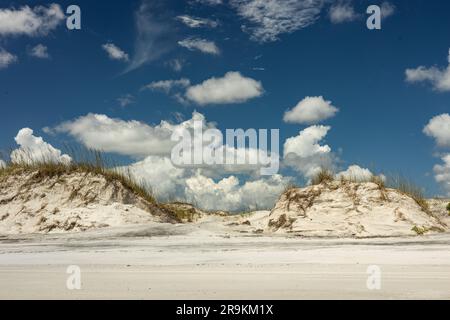 Dune di sabbia sull'isola di Anastasia in Florida