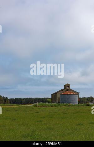 Un vecchio fienile rivestito di cartone ondulato e un Grain Silo circolare situato nelle fattorie vicino alla spiaggia di Montrose nella frazione di Kinnabar. Foto Stock