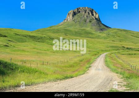birdtail butte che si innalza sopra la prateria e una strada secondaria vicino a simms, montana Foto Stock