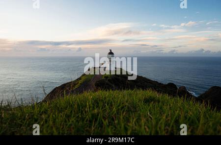 Vista panoramica dello storico faro bianco arroccato sulla scogliera di Capo Reinga, penisola di Aupouri, Northland, Isola del Nord, nuova Zelanda Foto Stock