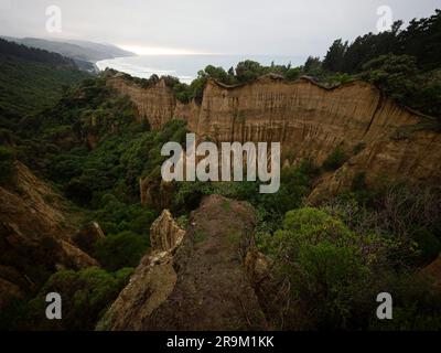 Colonne e colonne bizzarre, formazioni rocciose, erosione naturale del canyon di argilla limo, roccia della Cattedrale di Gully vicino a Gore Bay Hurunui Canterbury South i Foto Stock