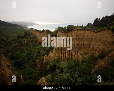 Colonne e colonne bizzarre, formazioni rocciose, erosione naturale del canyon di argilla limo, roccia della Cattedrale di Gully vicino a Gore Bay Hurunui Canterbury South i Foto Stock