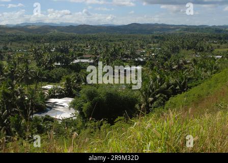 Sentieri per passeggiate, parco nazionale delle dune di sabbia di Sigatoka, Fiji. Foto Stock