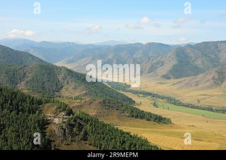 I dolci pendii di alte colline ricoperte di boschi di conifere scendono dolcemente nella pittoresca valle in una soleggiata giornata autunnale. Altai, Siberia, Foto Stock