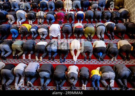 ROTTERDAM - musulmani durante la preghiera mattutina nella Moschea Mevlana. Qui si celebra il primo giorno della festa più importante dell'Islam, la Festa del sacrificio. ANP ROBIN UTRECHT paesi bassi fuori - belgio fuori Foto Stock