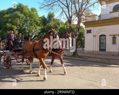 Gauchos in abiti tradizionali durante una sfilata per le strade di una città rurale in carri trainati da cavalli. Foto Stock