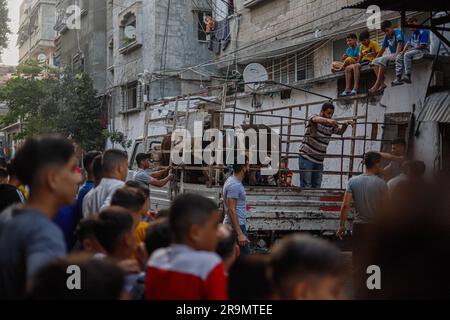 Gaza City, Palestina. 28 giugno 2023. I palestinesi guardano come i macellai massacrano un vitello durante la festa musulmana di Eid al-Adha nella città di Gaza, Striscia di Gaza il 28 giugno 2023. I musulmani di tutto il mondo celebrano Eid al-Adha per celebrare la fine dell'haj abbattendo pecore, capre, mucche e cammelli per commemorare la volontà del Profeta Abramo di sacrificare suo figlio Ismail su ordine di Dio. Foto di Ramez Habboub/ABACAPRESS.COM credito: Abaca Press/Alamy Live News Foto Stock