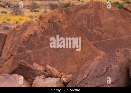 Twyfelfontein (afrikaans: Sorgente incerta), ufficialmente conosciuta come ǀUi-ǁAis (Damara/Nama: Sorgente di salto), è un sito di antiche incisioni rupestri nel corso della sua storia Foto Stock