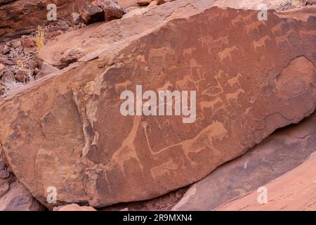 Twyfelfontein (afrikaans: Sorgente incerta), ufficialmente conosciuta come ǀUi-ǁAis (Damara/Nama: Sorgente di salto), è un sito di antiche incisioni rupestri nel corso della sua storia Foto Stock