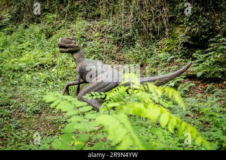 Karpin fauna. Riproduzione di un velociraptor a grandezza naturale nella zona del terrasauro nel centro faunistico Karpin fauna, Paesi Baschi, Spagna. Karp Foto Stock