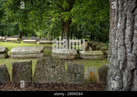 Necrópolis de San Adrián de Argiñeta, Ermita de San Adrián, Elorrio, Vizcaya, País Vasco, España Foto Stock