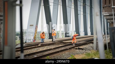 NIJMEGEN - Paesi Bassi, 28/06/2023, i dipendenti ispezionano il ponte ferroviario sul Waal. Per motivi di sicurezza, nessun treno passa sopra il ponte ferroviario, il che significa che non è possibile alcun traffico ferroviario tra Arnhem e Nijmegen. ANP JEROEN JUMELET netherlands Out - belgium Out Foto Stock