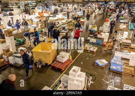 Sezione di pesce e frutti di mare, a Mercabarna. I mercati centrali di Barcellona. Barcellona. Spagna Foto Stock