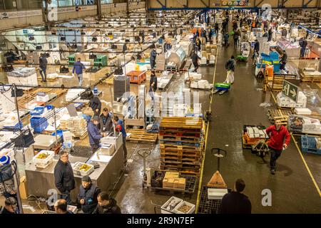 Sezione di pesce e frutti di mare, a Mercabarna. I mercati centrali di Barcellona. Barcellona. Spagna Foto Stock