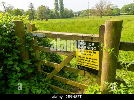 Cartello di avvertimento della polizia sul cancello sul bestiame in campo, cani da tenere in piombo, Suffolk Constabulary, Inghilterra, Regno Unito Foto Stock