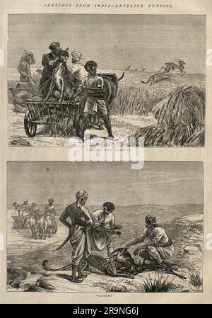 Illustrazione d'epoca, i cacciatori che usano il ghepardo prigioniero per cacciare antilopi, India, anni '1870, storia del XIX secolo Foto Stock