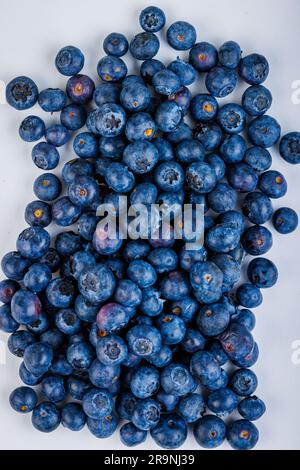 Immagine di natura morta di mirtilli freschi in una pila su sfondo bianco Foto Stock