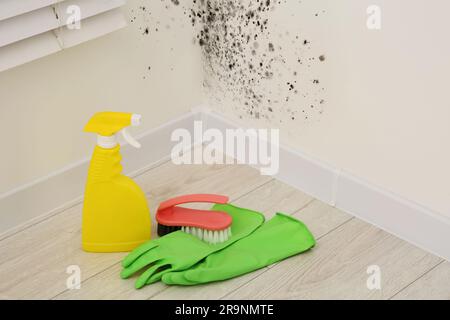 Flacone spray per rimozione stampi, guanti in gomma e spazzola sul pavimento vicino alle pareti interessate nella stanza Foto Stock