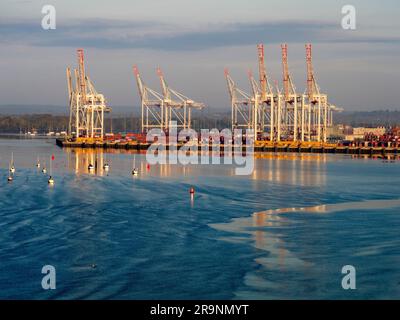 Situato in posizione ideale sulla costa meridionale dell'Inghilterra, vicino al canale, e con eccellenti collegamenti di trasporto per Londra e oltre, Southampton ha un contai molto vivace Foto Stock