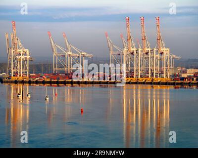 Situato in posizione ideale sulla costa meridionale dell'Inghilterra, vicino al canale, e con eccellenti collegamenti di trasporto per Londra e oltre, Southampton ha un contai molto vivace Foto Stock