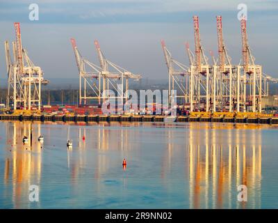 Situato in posizione ideale sulla costa meridionale dell'Inghilterra, vicino al canale, e con eccellenti collegamenti di trasporto per Londra e oltre, Southampton ha un contai molto vivace Foto Stock