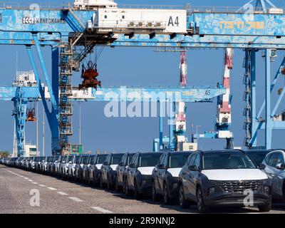 Linee di auto importate appena arrivate sul molo di Haifa, Israele, in attesa di consegna e trasbordo. Possiamo anche vedere un po' del gigantesco gantry Foto Stock