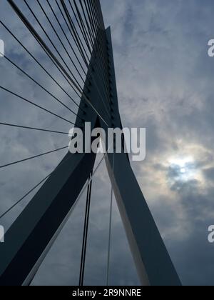 Il nuovo e bellissimo ponte sospeso di Rotterdam si aggiunge notevolmente allo skyline della città, e prende il nome dal grande filosofo e umanista olandese rinascimentale Foto Stock