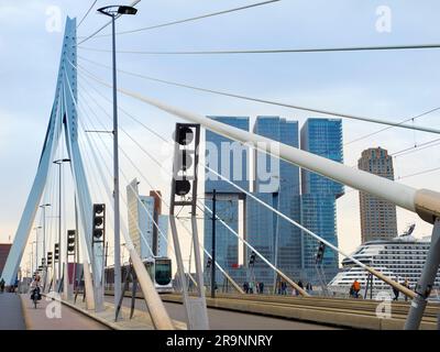 Il nuovo e bellissimo ponte sospeso di Rotterdam si aggiunge notevolmente allo skyline della città, e prende il nome dal grande filosofo e umanista olandese rinascimentale Foto Stock