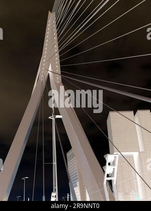 Il nuovo e bellissimo ponte sospeso di Rotterdam si aggiunge notevolmente allo skyline della città, e prende il nome dal grande filosofo e umanista olandese rinascimentale Foto Stock