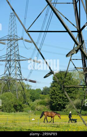 Amo i tralicci elettrici; trovo le loro forme astratte e stravaganti infinitamente affascinanti. Sono abbastanza onnipresenti nelle zone agricole dell'Oxfordshire rurale, Foto Stock