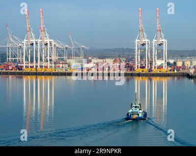 Situato in posizione ideale sulla costa meridionale dell'Inghilterra, vicino al canale, e con eccellenti collegamenti di trasporto per Londra e oltre, Southampton ha un contai molto vivace Foto Stock