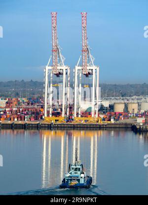 Situato in posizione ideale sulla costa meridionale dell'Inghilterra, vicino al canale, e con eccellenti collegamenti di trasporto per Londra e oltre, Southampton ha un contai molto vivace Foto Stock