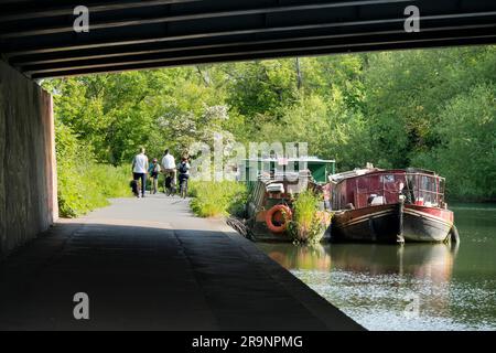 E' presto in una mattina d'estate, e io vado a fare una passeggiata tutti i giorni. Sono sotto un vecchio ponte sul fiume Tamigi a Kennington, nell'Oxfordshire. Se davvero vuoi Foto Stock