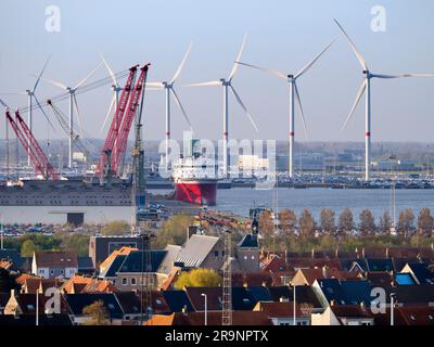 Il porto di Zeebrugge (che significa Bruges-on-Sea) è un grande container, carico alla rinfusa, veicoli nuovi e terminal dei traghetti passeggeri sul Mare del Nord. handl Foto Stock