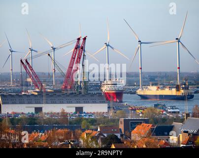 Il porto di Zeebrugge (che significa Bruges-on-Sea) è un grande container, carico alla rinfusa, veicoli nuovi e terminal dei traghetti passeggeri sul Mare del Nord. handl Foto Stock