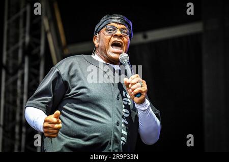 Il vero spettacolo ai Bedford Park Concerts prima delle esibizioni di Sting e George Ezra Foto Stock