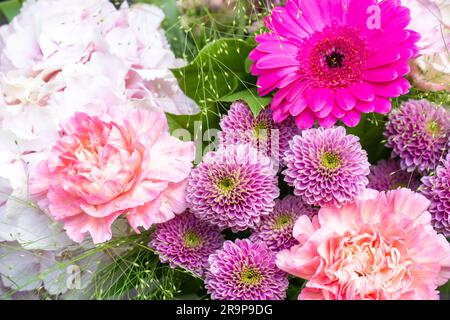 Primo piano di un mazzo di fiori rosa con una margherita gerbera, dahlias e peonie Foto Stock