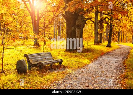 Vecchia panchina di legno nel parco autunnale sotto colorati alberi autunnali con foglie dorate. Paesaggio con biancheria e panchina in primo piano in una giornata di sole. Foto Stock