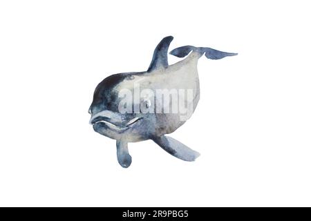Illustrazione ad acquerello di un simpatico delfino sorridente. Immagine originale dipinta a mano di un animale marino, isolato su sfondo bianco, vista frontale Foto Stock