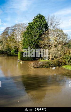 I giardini sono allagati dal livello dell'acqua del fiume Ouse Rise, Lewes, East Sussex, Regno Unito. Foto Stock