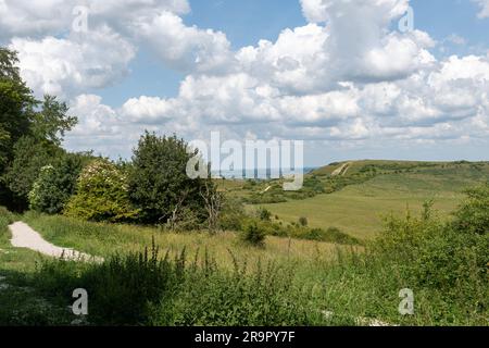 Vista di Ivinghoe Beacon nelle Chiltern Hills, Buckinghamshire, Inghilterra, Regno Unito, durante l'estate Foto Stock