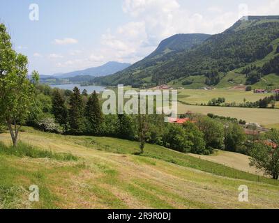 Immenstadt im Allgäu (Oberallgäu, Baviera, Germania) Foto Stock